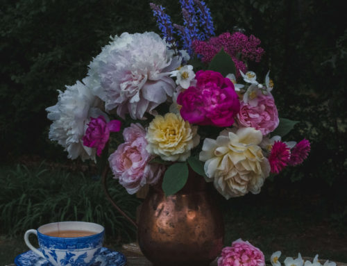 Fine Art Photography: Flowers on a midsummer’s night